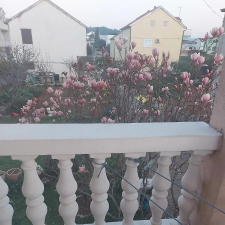 Iva Apartment *