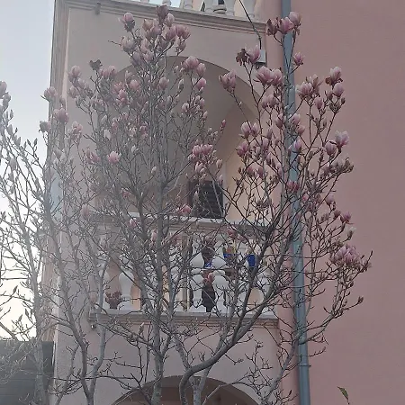 Apartman Iva *