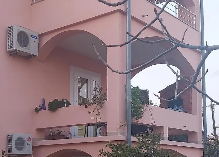 Iva ברודאריצה