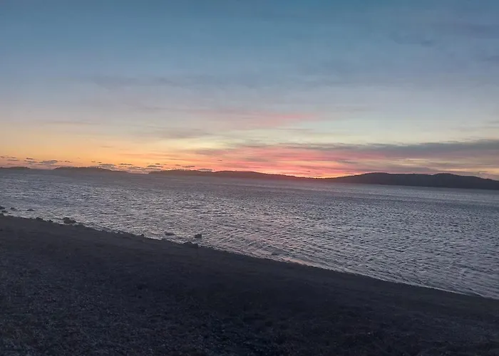 Iva * ברודאריצה