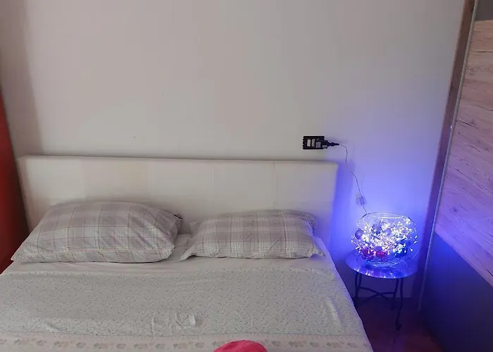 Iva ברודאריצה