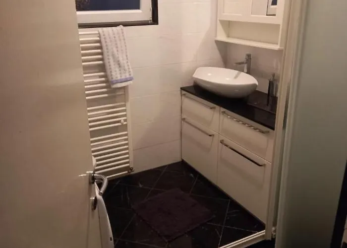 Iva ברודאריצה